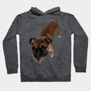 Tyson Hoodie